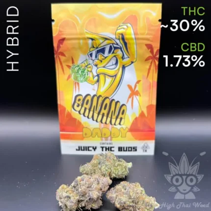 Banana Daddy