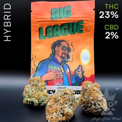 Big League