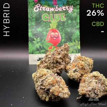 Strawberry Glue