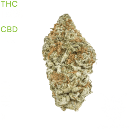 White Widow