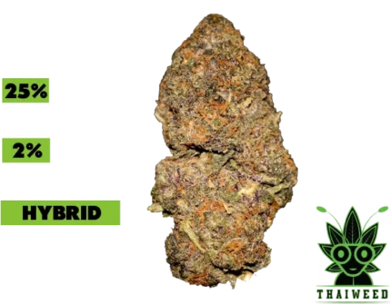 Gelato #33