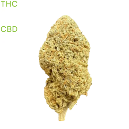 Blue Cheese