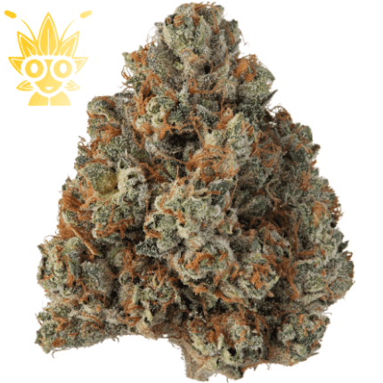 Khalifa kush